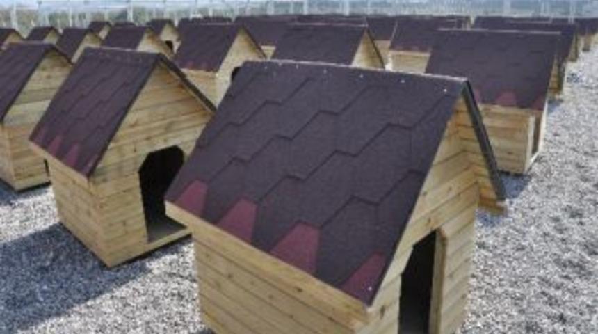 Bafra&rsquo;ya 5 Bin Metrekarelik Hayvan Barınağı