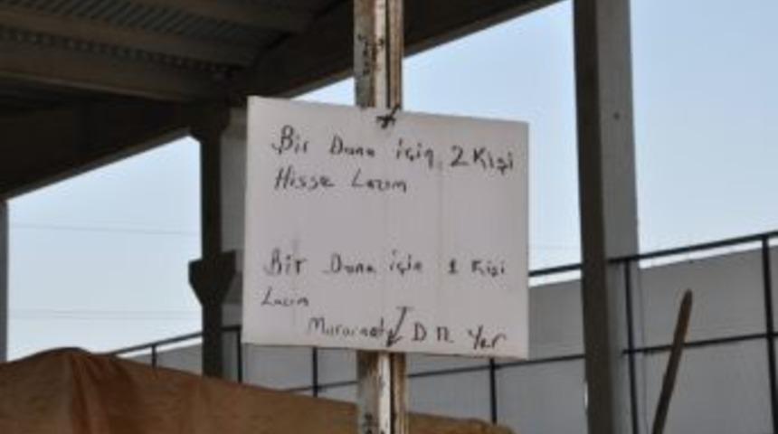 Kurbanlık Hayvanlara Rağbet Yok