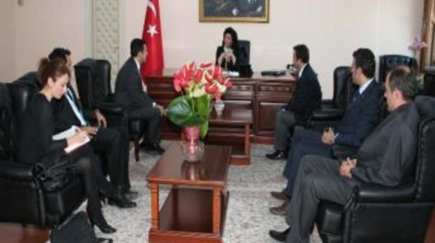 Yalova&rsquo;ya Kalıp&ccedil;ılar Vadisi Kurulacak