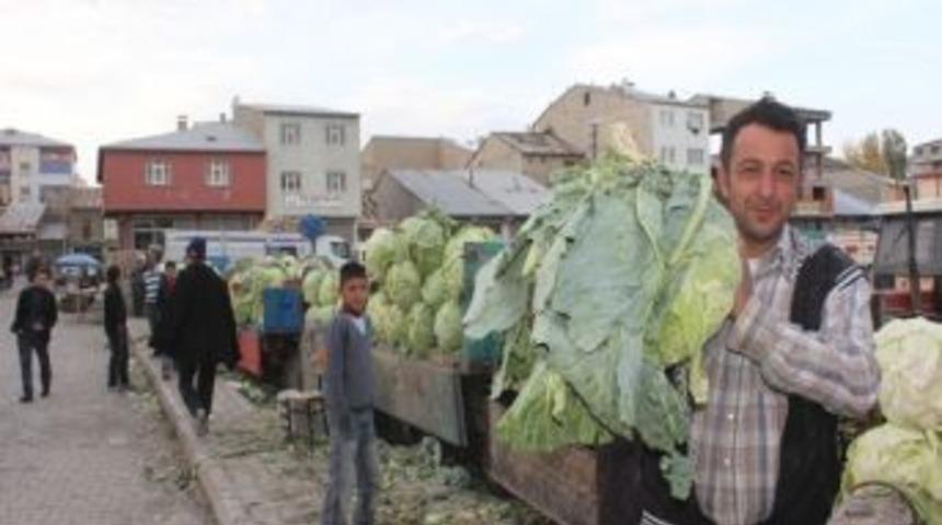 Ağrı Lahanası Tezgahlardaki Yerini Aldı