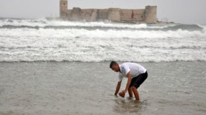 Mersin&rsquo;de K&uuml;&ccedil;&uuml;k Balıklar Sahile Vurdu