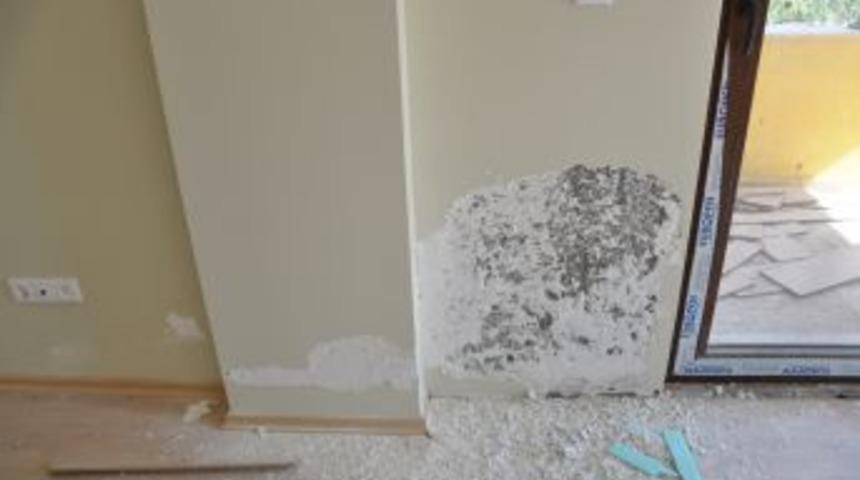 B&ouml;ylesi ne g&ouml;r&uuml;ld&uuml; ne duyuldu?