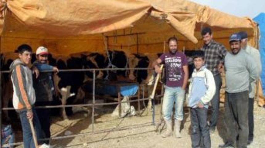 Kurban Pazarında &ldquo;2 Alana 1 Bedava&rdquo; Promosyonu