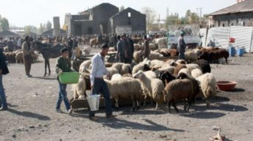 Kars&rsquo;tan Batı'ya Kurban Sevkinde Son Kamyonlar Yola &Ccedil;ıktı
