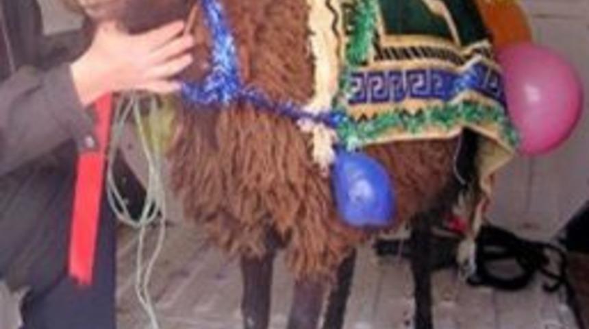 Erzurum&rsquo;da Yaşayan Gelenekler