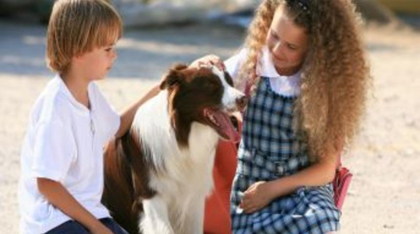 &lsquo;Arkadaşım Max&rsquo; Filminin &Ccedil;ekimleri Tamamlandı