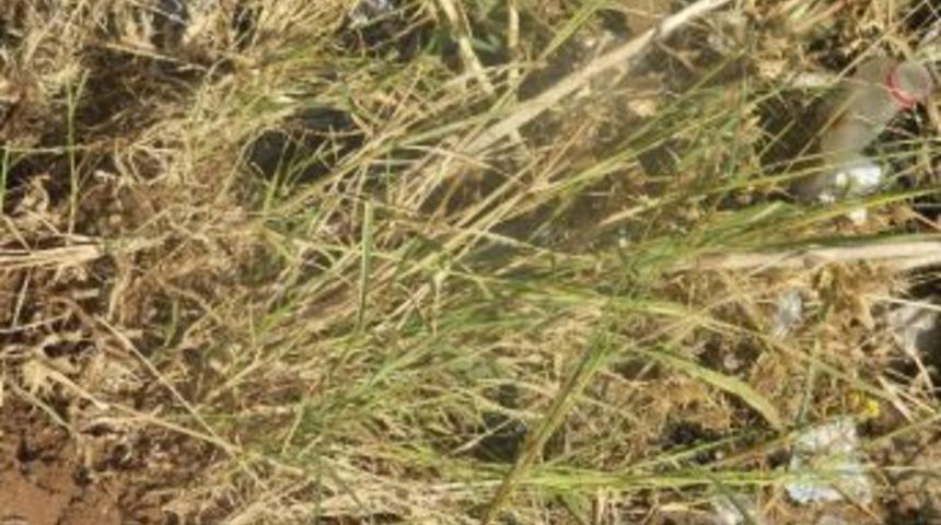 Bombalı Ter&ouml;r Saldırısı Duyarlı Vatandaş İhbarına Takıldı