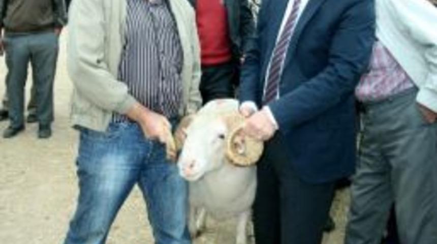 Belediye Başkanı Ali Erdoğan Kurbanlık Pazarlarını Gezdi