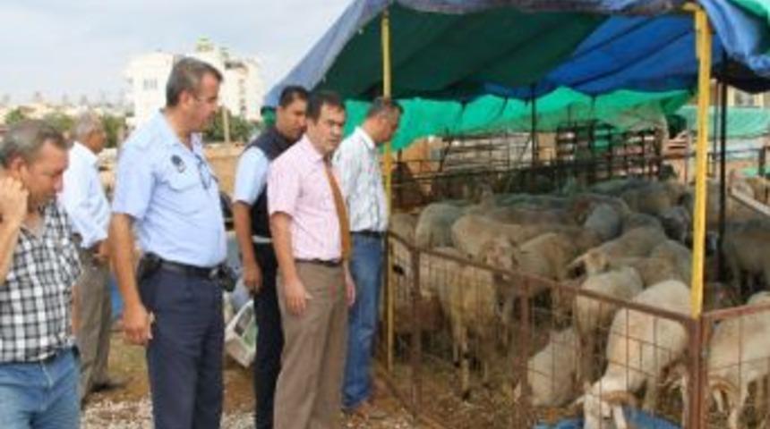 Didim&rsquo;de İl&ccedil;e Tarım M&uuml;d&uuml;rl&uuml;ğ&uuml; Ekipleri Kurban Denetimlerini S&uuml;rd&uuml;r&uuml;yor