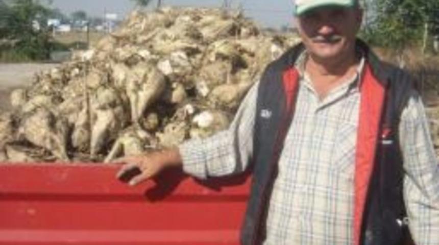 Pancar &Uuml;reticisi Fiyat Bekliyor