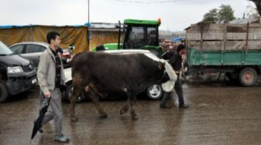 Kurbanını Alan Erzurumlu Evinin Yolunu Tuttu