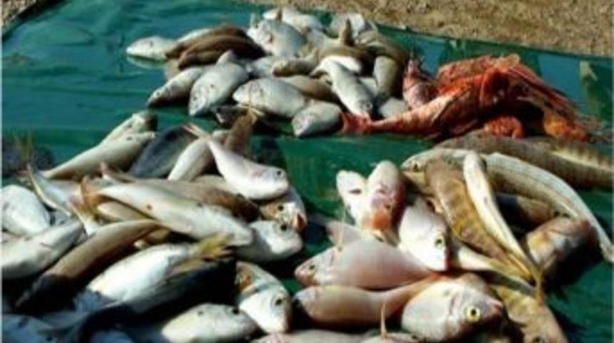 Keskin, "k&uuml;&ccedil;&uuml;k Boylu Balıkları Avlamayalım "