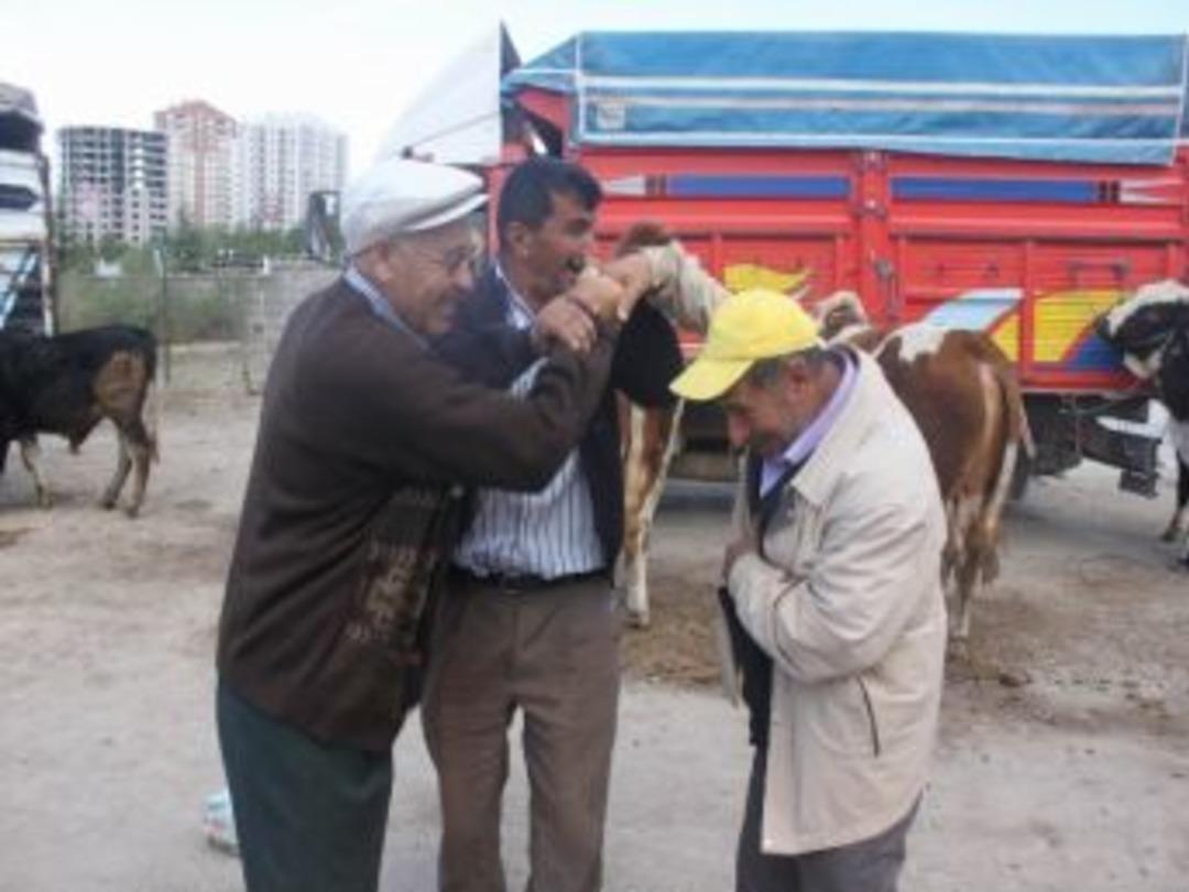 Talas Kurban Bayramına Hazır