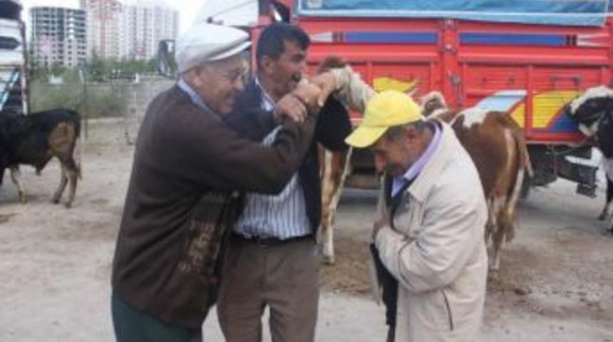 Talas Kurban Bayramına Hazır