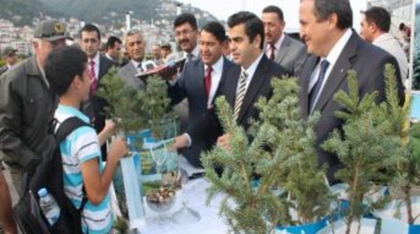 Ordu&rsquo;da Bayramlık &Ccedil;am Fidanları Dağıtıldı