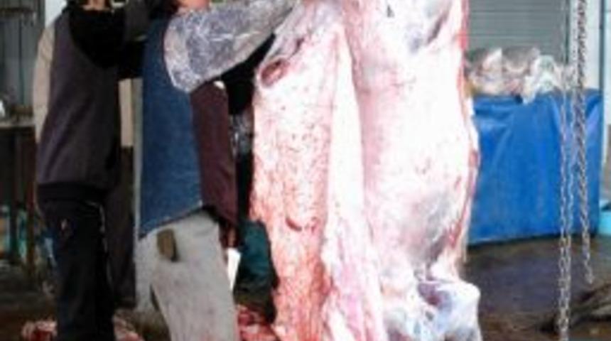 Belediye Kurban Eti Bağışlarını Bu Yıl Da Kabul Edecek