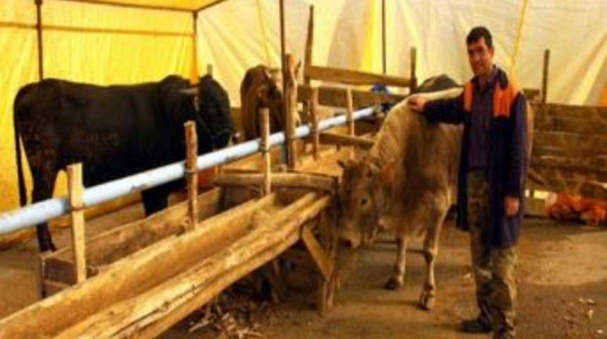 Kurban Bayramı İ&ccedil;in Tedbirler Alındı