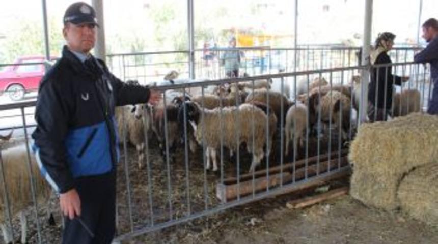 Edremit Hayvan Pazarı Bayrama Hazırlanıyor