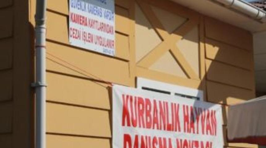 Kurbanlık Hayvan Danışma Noktası A&ccedil;ıldı