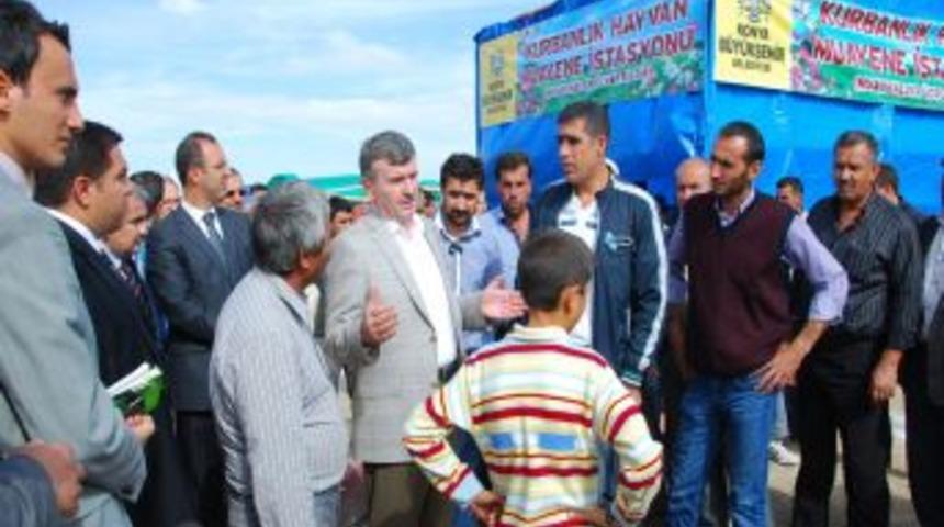 Aky&uuml;rek: Avrupa'nın En Modern Hayvan Pazar Yeri Konya'da Kuruluyor