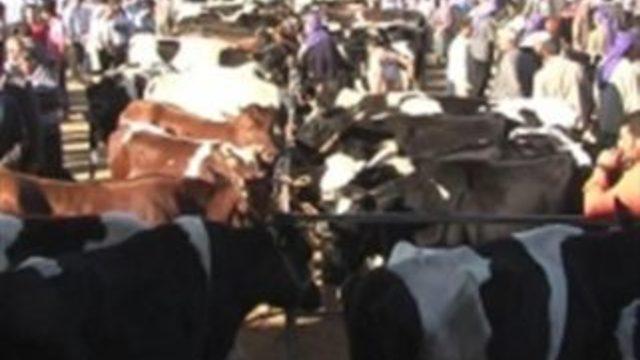 Urfalılar: Birinci gün bayram mı arefe mi?