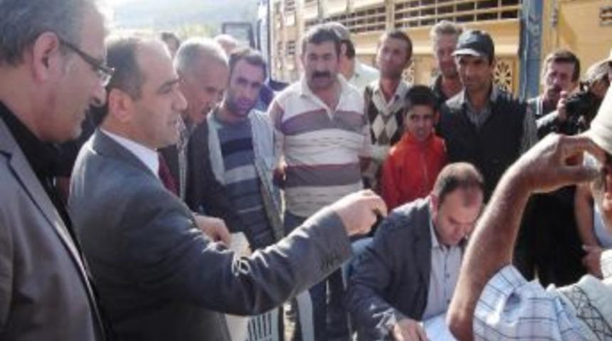 Havza&rsquo;da Hayvan Dağıtımı