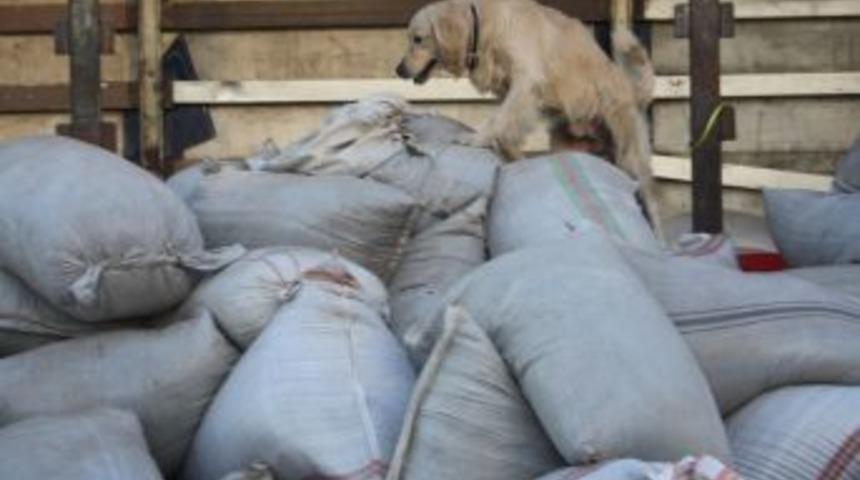 Ka&ccedil;ak &Ccedil;ayın I&ccedil;inden Eroin &Ccedil;ıktı