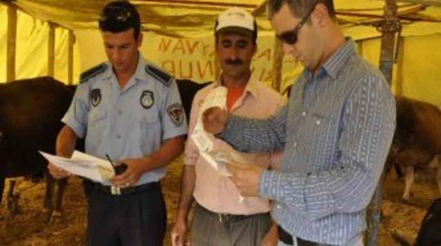 Kuşadası&rsquo;nda Kurbanlıklara Sağlık Kontrol&uuml;