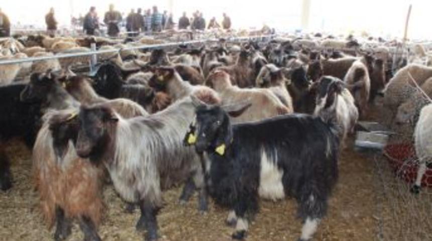 Son g&uuml;n telaşı