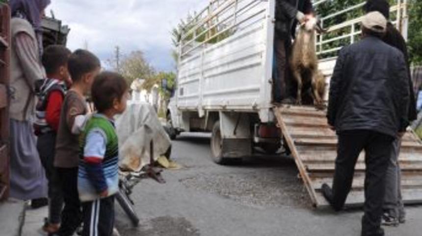 Kaymakam, Yetim Ve &Ouml;ks&uuml;zleri Unutmadı