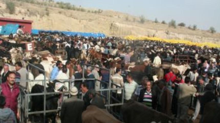 Hayvan Pazarı Arife G&uuml;n&uuml; Canlandı