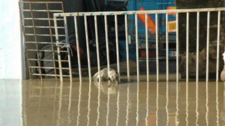 Onlarca Vatandaş Evlerinde Kurtarılmayı Bekliyor