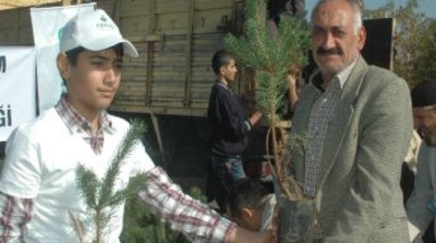 El&ccedil;ed Arefe G&uuml;n&uuml; Mezarlıklarda Fidan Dağıttı