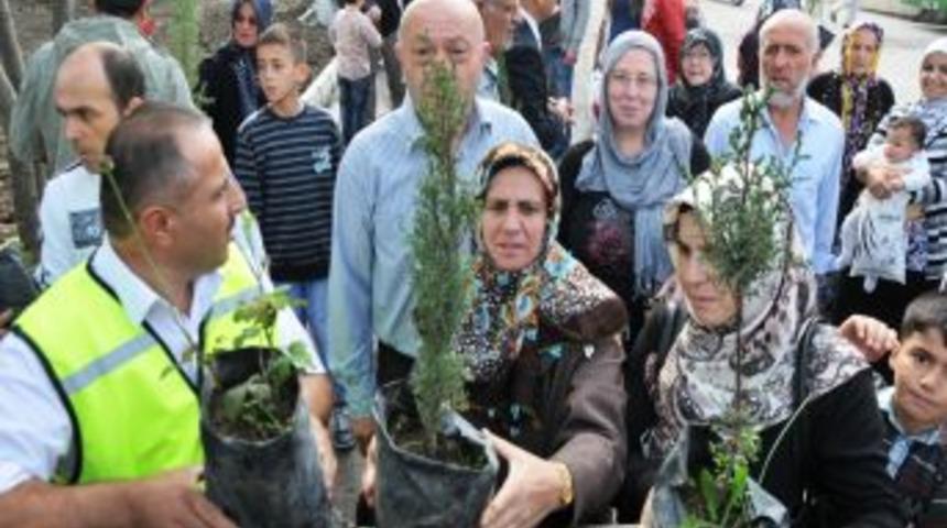 Arife G&uuml;n&uuml; Mezarlıkta Fidan Dağıtımına B&uuml;y&uuml;k Ilgi