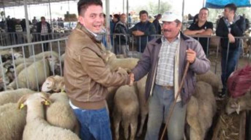 Edremit&rsquo;teki Kurbanlık Pazarında Arife G&uuml;n&uuml; Hareketliliği Yaşanıyor