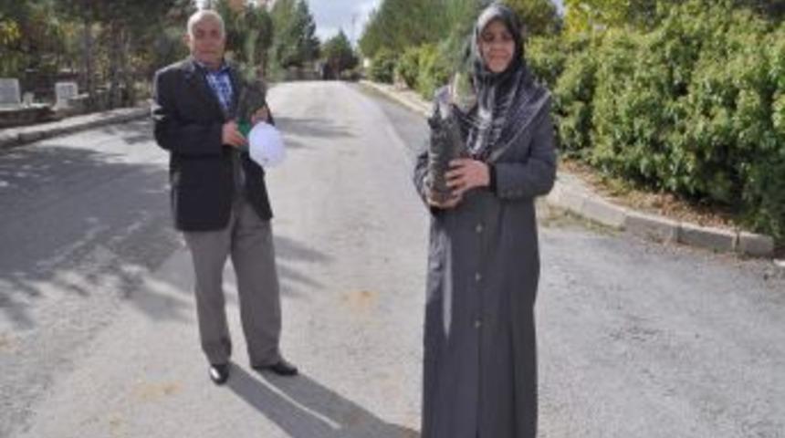 Yozgat Orman İşletmesi, Mezarlıklarda 10 Bin Fidan Dağıttı