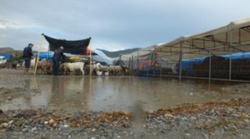 Sel&ccedil;uk&rsquo;ta Yağmur Kurbanlıkları Perişan Etti