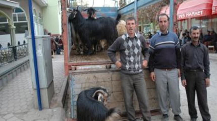 Kurbanlıklar I&ccedil;in Son Pazarlıklar Yapıldı