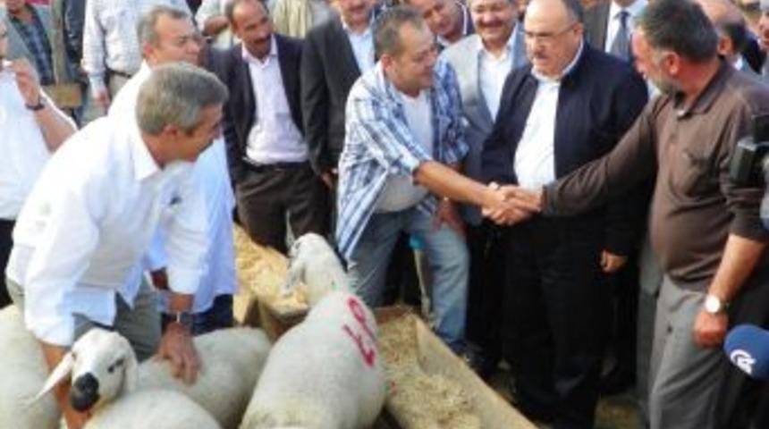 Beşir Atalay: Suriye'de Silahların Susması Memnuniyet Verici