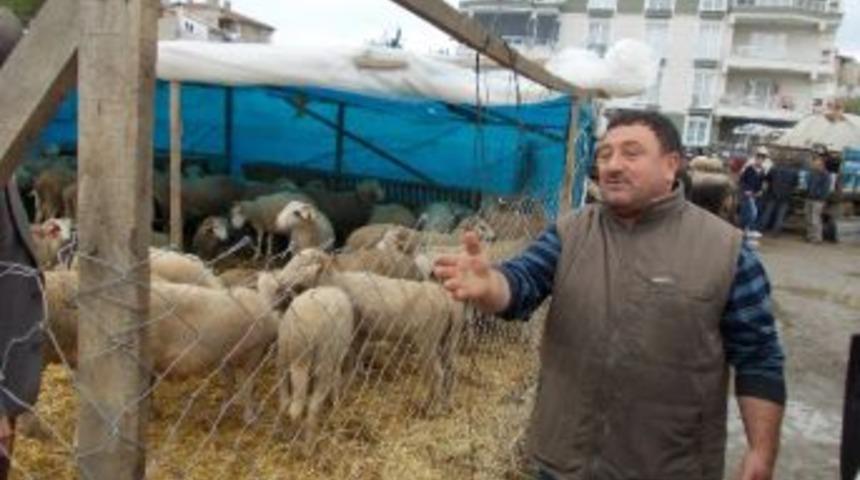 Şark&ouml;y Belediyesi Kurbanı &Uuml;cretsiz Kesiyor