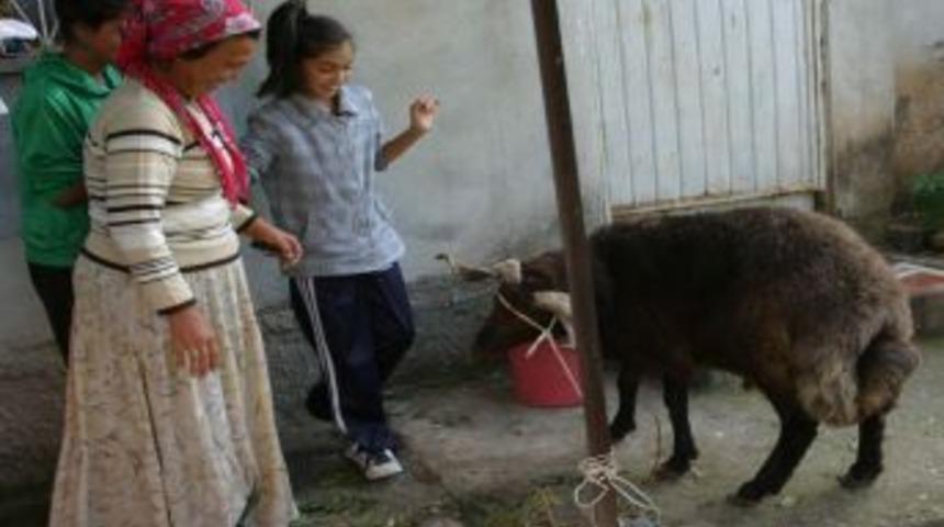 İhtiya&ccedil; Sahibi Ailelerin Y&uuml;z&uuml; 'hediye Kurban' Ile G&uuml;ld&uuml;