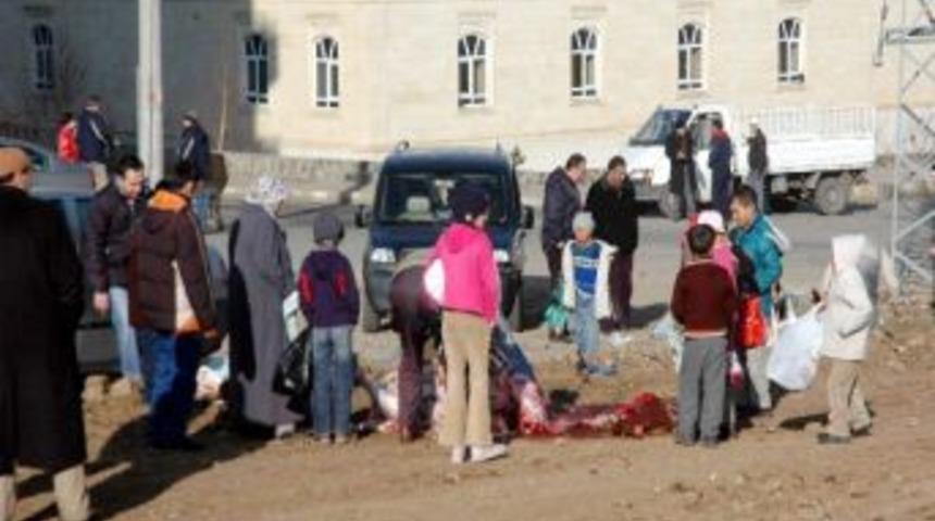 Erzurum'da Kurban Bayramı