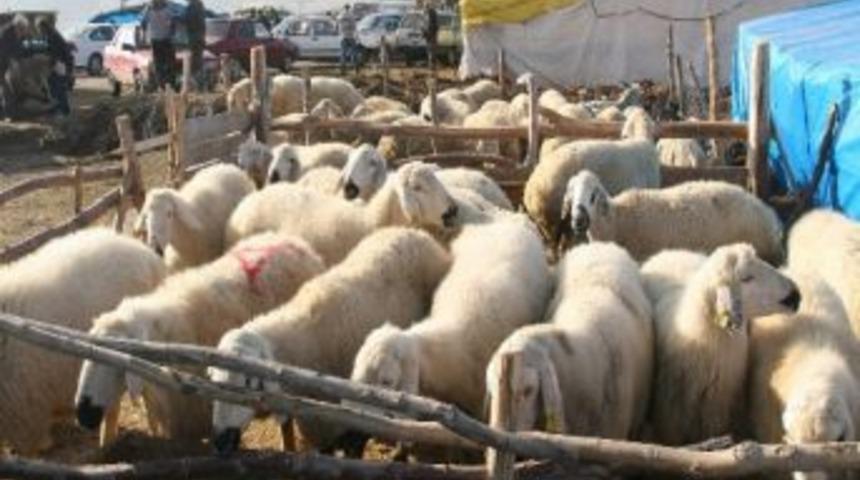 Yozgat&rsquo;ta Kurban Bayramı