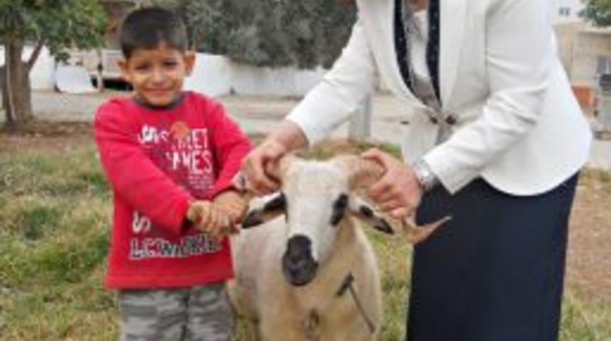 AK Partili Kadınlar, Ihtiya&ccedil; Sahipleriyle Kardeşlik K&ouml;pr&uuml;lerini G&uuml;&ccedil;lendirdi