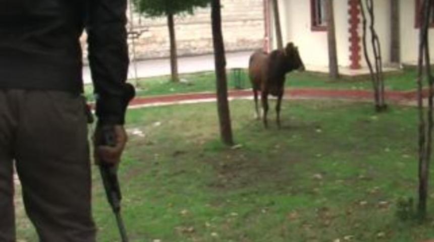 Firari kurbanlar 4 kişiyi yaraladı