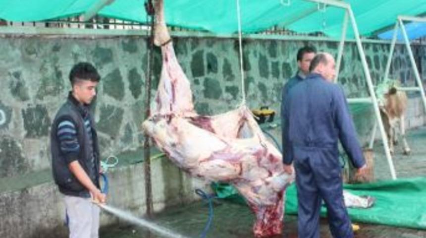 Ordu'da Kurban Bayramı