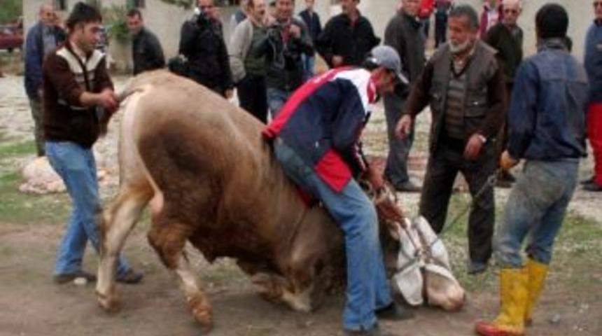 Erzincan’da Kurban Manzaraları