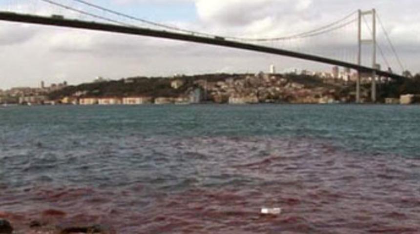 İstanbul Boğazı kana bulandı