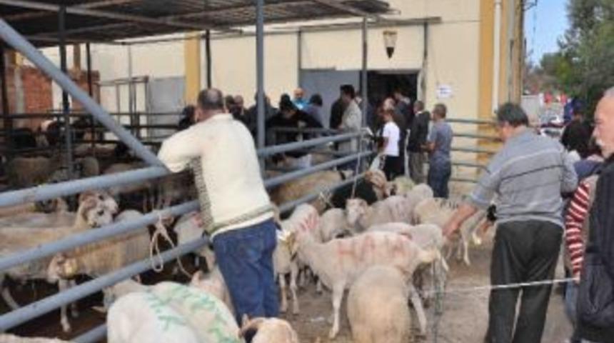 Kuşadası&rsquo;nda Kurban Bayramı Kutlamaları