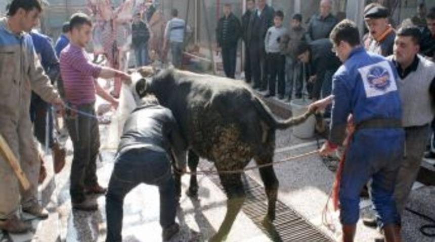 Kurban Bayramı Afyonkarahisar&rsquo;da Coşkuyla Kutlanıyor